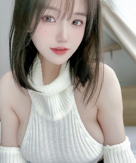 北极故事