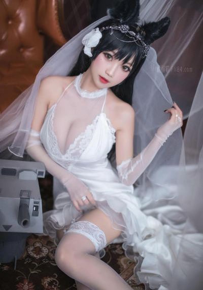 陪你逐风飞翔